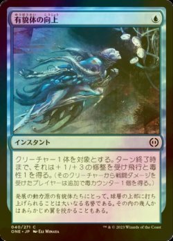 画像1: [FOIL] 有貌体の向上/Aspirant's Ascent 【日本語版】 [ONE-青C]