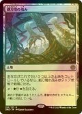 [FOIL] 剃刀境の茂み/Razorverge Thicket 【日本語版】 [ONE-土地R]