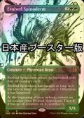 [FOIL] 進化したスパイノダーム/Evolved Spinoderm No.313 ● (全面アート・日本産ブースター版) 【英語版】 [ONE-緑R]