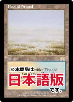 画像1: 溢れかえる岸辺/Flooded Strand (ONS/土地R/日/通常/NM) ※詳細要確認