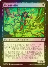 [FOIL] 節くれ根の罠師/Gnarlroot Trapper 【日本語版】 [ORI-黒U]