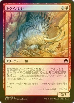 画像1: [FOIL] トゲイノシシ/Prickleboar 【日本語版】 [ORI-赤C]