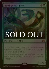 [FOIL] マナ喰らいのハイドラ/Managorger Hydra 【日本語版】 [ORI-緑R]