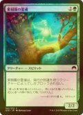 [FOIL] 果樹園の霊魂/Orchard Spirit 【日本語版】 [ORI-緑C]