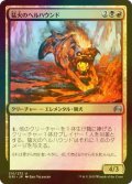 [FOIL] 猛火のヘルハウンド/Blazing Hellhound 【日本語版】 [ORI-金U]