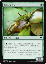 苛性イモムシ/Caustic Caterpillar 【日本語版】 [ORI-緑C]
