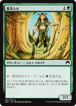 画像1: 葉光らせ/Leaf Gilder 【日本語版】 [ORI-緑C]