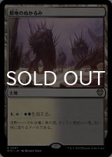 僻地のぬかるみ/Desolate Mire 【日本語版】 [OTC-土地R]