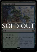 ヤヴィマヤの沿岸/Yavimaya Coast 【日本語版】 [OTC-土地R]