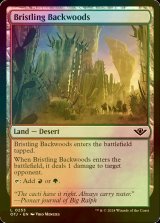 [FOIL] 逆棘の辺境林/Bristling Backwoods 【英語版】 [OTJ-土地C]