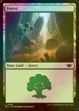 [FOIL] 森/Forest No.285 【英語版】 [OTJ-土地C]