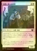 [FOIL] 復讐に燃える市民/Vengeful Townsfolk 【日本語版】 [OTJ-白C] *詳細要確認