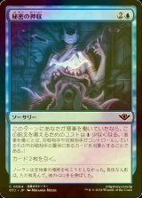 [FOIL] 秘密の押収/Seize the Secrets 【日本語版】 [OTJ-青C] *詳細要確認