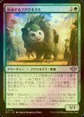 [FOIL] 放浪するフクロネズミ/Rambling Possum 【日本語版】 [OTJ-緑U] *詳細要確認