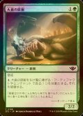 [FOIL] 大食の匪獣/Voracious Varmint 【日本語版】 [OTJ-緑C] *詳細要確認