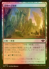 [FOIL] 逆棘の辺境林/Bristling Backwoods 【日本語版】 [OTJ-土地C] *詳細要確認