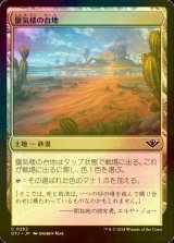 [FOIL] 蜃気楼の台地/Mirage Mesa 【日本語版】 [OTJ-土地C] *詳細要確認