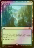 [FOIL] 植物の聖域/Botanical Sanctum 【日本語版】 [OTJ-土地R]