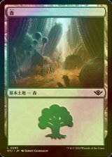 [FOIL] 森/Forest No.285 【日本語版】 [OTJ-土地C]