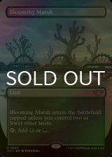[FOIL] 花盛りの湿地/Blooming Marsh (全面アート・海外産ブースター版) 【英語版】 [OTJ-土地R]