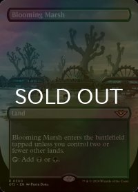 [FOIL] 花盛りの湿地/Blooming Marsh (全面アート・海外産ブースター版) 【英語版】 [OTJ-土地R]