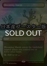 [FOIL] 花盛りの湿地/Blooming Marsh ● (全面アート・日本産ブースター版) 【英語版】 [OTJ-土地R]
