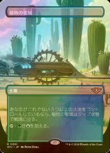 [FOIL] 植物の聖域/Botanical Sanctum (全面アート版) 【日本語版】 [OTJ-土地R]