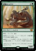 金脈のハイドラ/Goldvein Hydra 【日本語版】 [OTJ-緑MR]