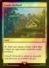 [FOIL] 風変わりな果樹園/Exotic Orchard No.264 【英語版】 [PIP-土地R]