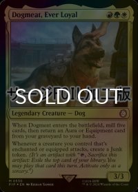[FOIL] 忠実な友、ドッグミート/Dogmeat, Ever Loyal No.530 (サージ仕様) 【英語版】 [PIP-金MR]