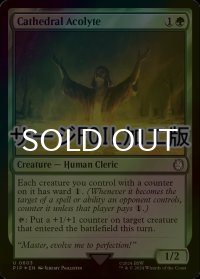 [FOIL] 聖堂の侍祭/Cathedral Acolyte No.603 (サージ仕様) 【英語版】 [PIP-緑U]