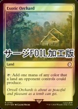 [FOIL] 風変わりな果樹園/Exotic Orchard No.792 (サージ仕様) 【英語版】 [PIP-土地R]