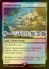 [FOIL] 大草原の川/Prairie Stream No.808 (サージ仕様) 【英語版】 [PIP-土地R]