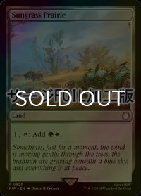 [FOIL] サングラスの大草原/Sungrass Prairie No.823 (サージ仕様) 【英語版】 [PIP-土地R]