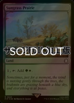 画像1: [FOIL] サングラスの大草原/Sungrass Prairie No.823 (サージ仕様) 【英語版】 [PIP-土地R]
