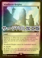 [FOIL] 風立ての高地/Windbrisk Heights No.843 (サージ仕様) 【英語版】 [PIP-土地R]