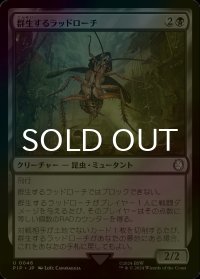 [FOIL] 群生するラッドローチ/Infesting Radroach No.046 【日本語版】 [PIP-黒U]