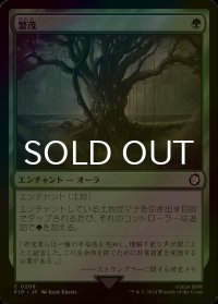 [FOIL] 繁茂/Wild Growth No.208 【日本語版】 [PIP-緑C]
