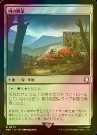 [FOIL] 梢の眺望/Canopy Vista No.255 【日本語版】 [PIP-土地R]