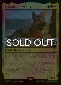 [FOIL] 忠実な友、ドッグミート/Dogmeat, Ever Loyal No.530 (サージ仕様) 【日本語版】 [PIP-金MR]