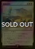 [FOIL] 質素な命令/Austere Command No.684 (サージ仕様) 【日本語版】 [PIP-白R]