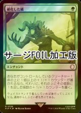 [FOIL] 硬化した鱗/Hardened Scales No.728 (サージ仕様) 【日本語版】 [PIP-緑R]