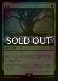 [FOIL] 繁茂/Wild Growth No.736 (サージ仕様) 【日本語版】 [PIP-緑C]