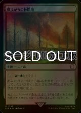 [FOIL] 燃えがらの林間地/Cinder Glade No.785 (サージ仕様) 【日本語版】 [PIP-土地R]