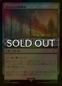 [FOIL] 燃えがらの林間地/Cinder Glade No.785 (サージ仕様) 【日本語版】 [PIP-土地R]