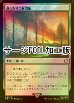 画像1: [FOIL] 燃えがらの林間地/Cinder Glade No.785 (サージ仕様) 【日本語版】 [PIP-土地R]