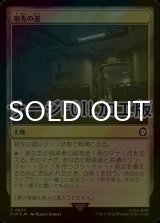 [FOIL] 祖先の道/Path of Ancestry No.807 (サージ仕様) 【日本語版】 [PIP-土地C]