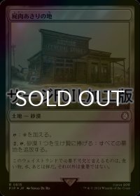 [FOIL] 屍肉あさりの地/Scavenger Grounds No.815 (サージ仕様) 【日本語版】 [PIP-土地R]