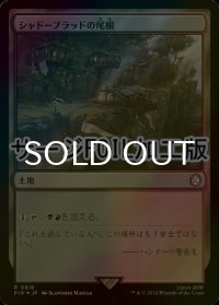 [FOIL] シャドーブラッドの尾根/Shadowblood Ridge No.816 (サージ仕様) 【日本語版】 [PIP-土地R]