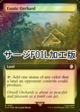 [FOIL] 風変わりな果樹園/Exotic Orchard No.1023 (拡張アート版・サージ仕様) 【英語版】 [PIP-土地R]